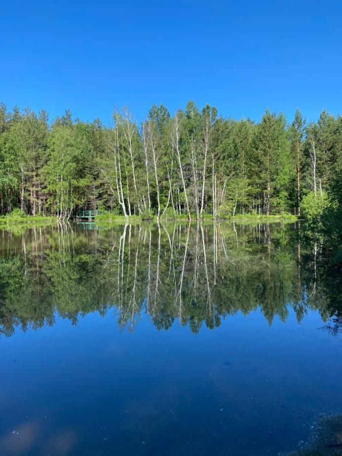 Forest And Lake Borovoe Exterior photo